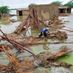 The Human Tragedy and Economic Cost